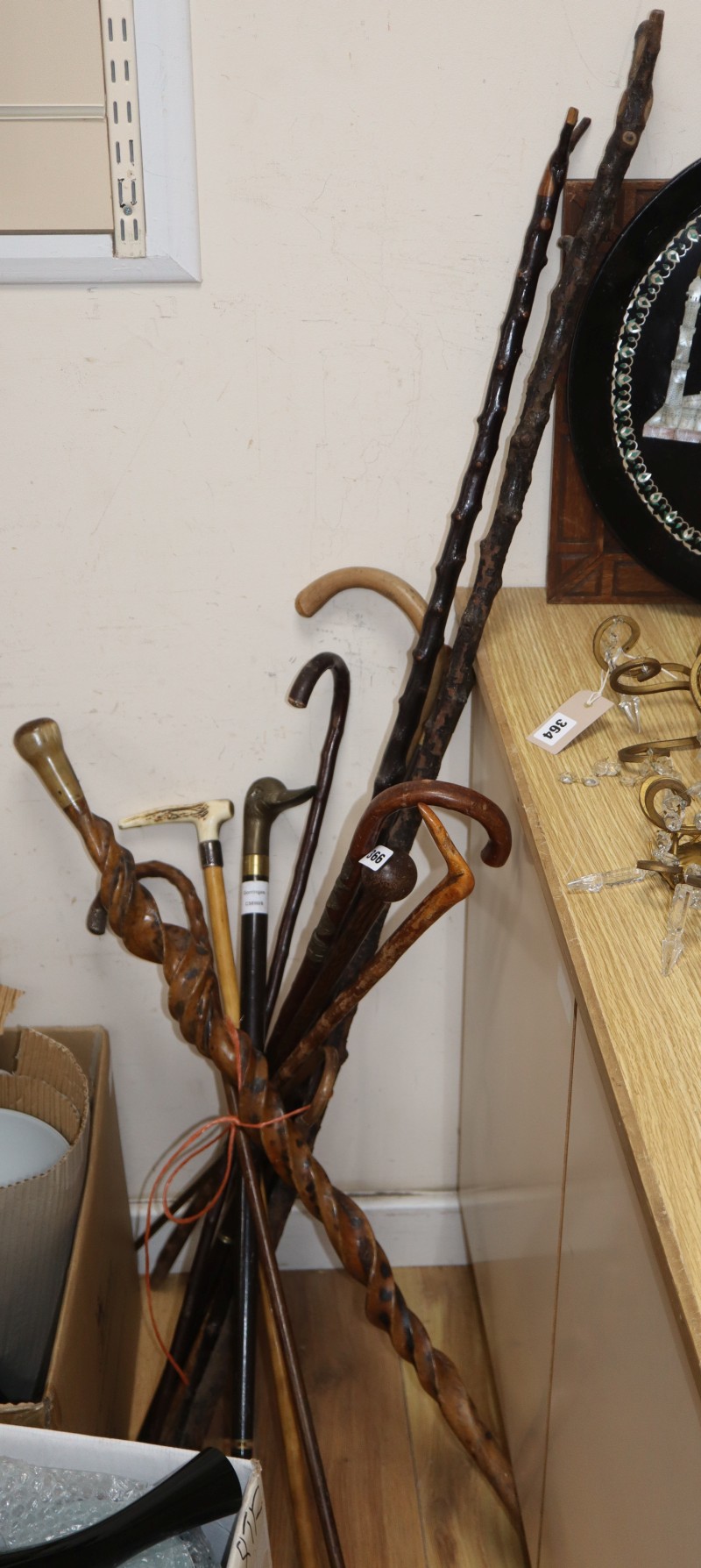 A collection of walking canes